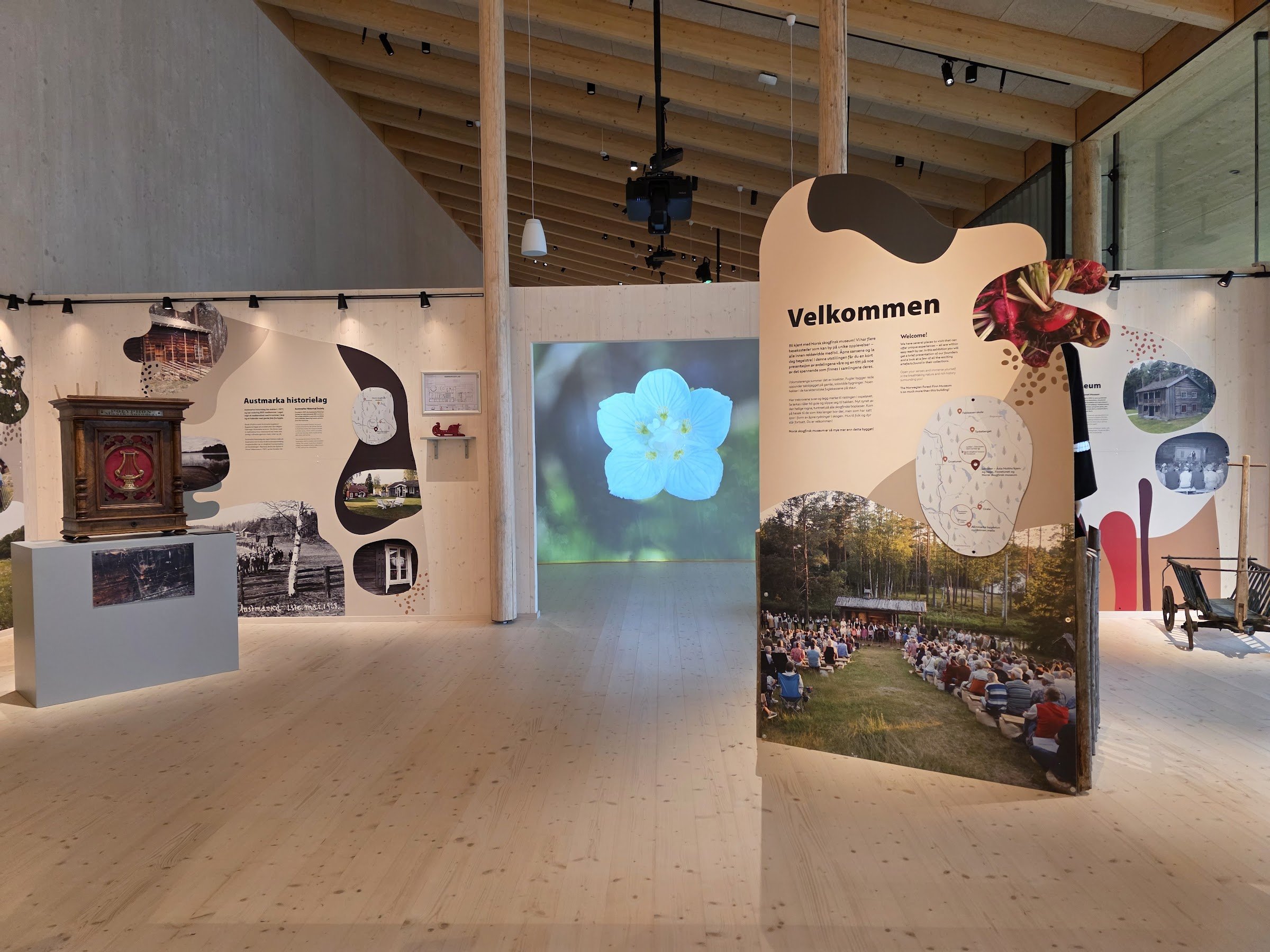 Norsk skogfinsk museum